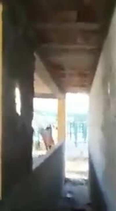 Vai meche com bixo que ta queto BURRO