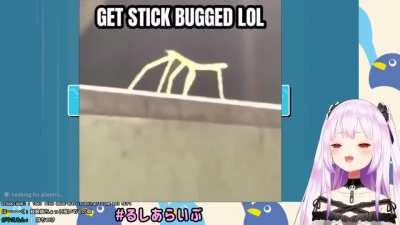 Rushia gets stickbugged lol (late to the party)