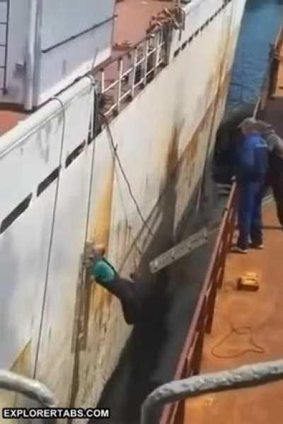 Boarding a boat on a rusty ol' ladder