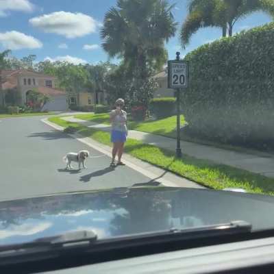 HOA Karen will do anything to make you the problem