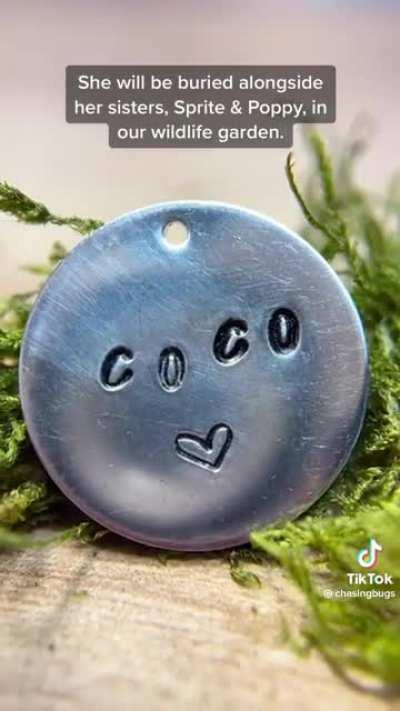 Who’s cutting onions?