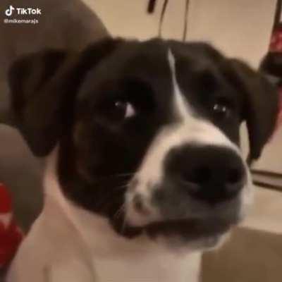 How Bruce gonna be in the future after the one millionth nose joke