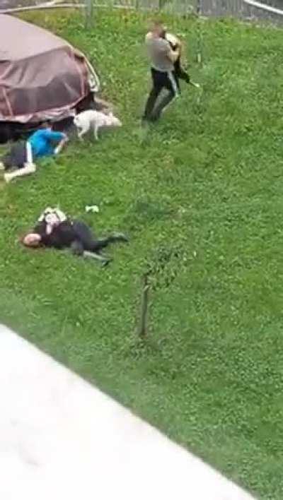 Two Pit bulls attacking a passer-by lady and her dog.