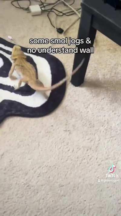 no brain cell reside in spiked pancake girl 