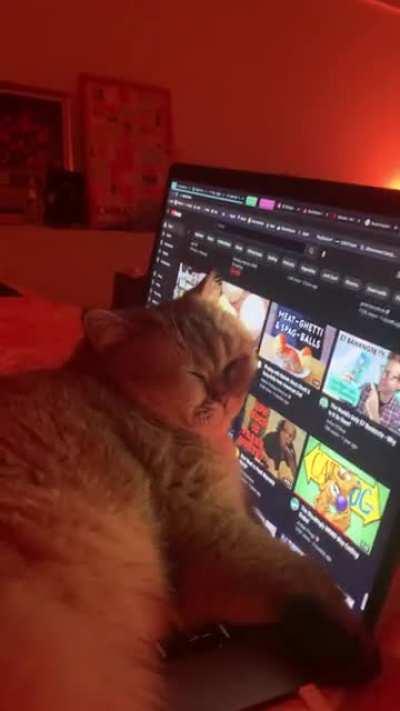 Last post got removed. Maybe this one is more appropriate, she’s been like this for 3 hours.