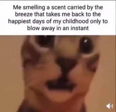 Just a little too relatable!!