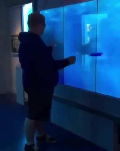 Touching the glass when you're not allowed to