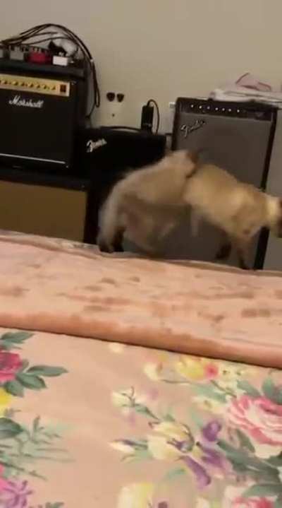 A traição inesperada KKKKKK