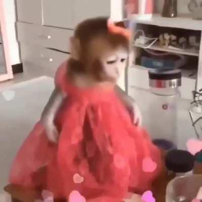 MUCALOL DE VESTIDINHO 😍😍😳