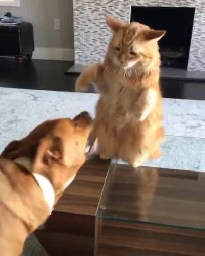 9 years old and still slappy as hell