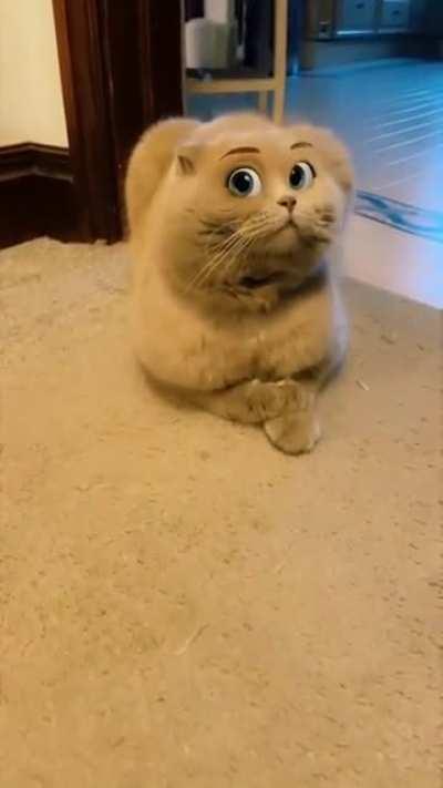 the filter looks good on you 😍