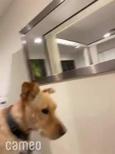 Dan giving me some solid life advice 💜