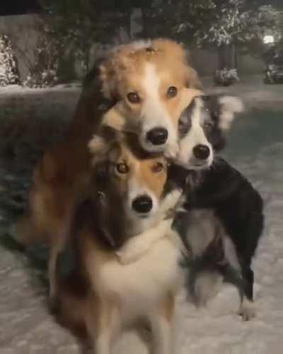 we are friends, could you take a group photo please