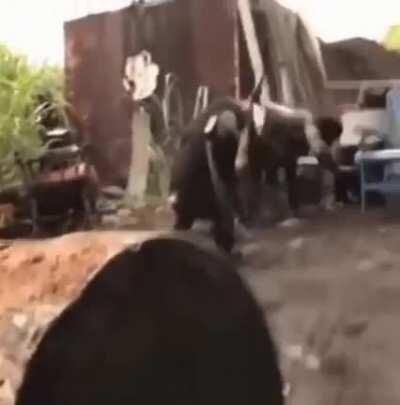 We Back!! Somehow got unperma-banned from Reddit lol