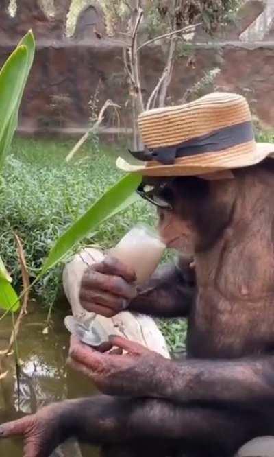 It’s five o’clock somewhere