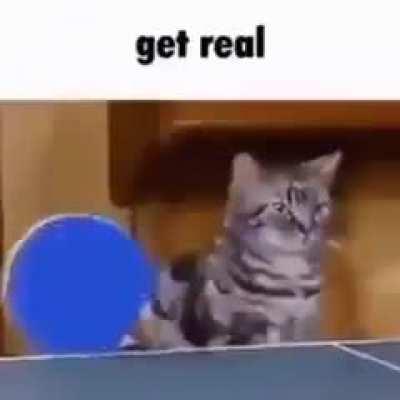 what's that one video called where ash's mom fucked the mime Pokemon I can't find it