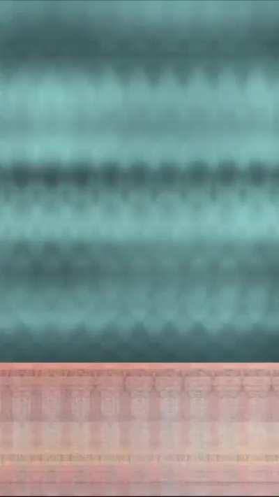 Singing money - Finnish FIM