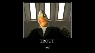 Rammestein fishe?? 🐟🦈🐠🐡