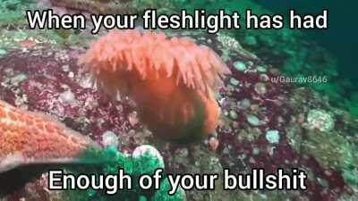 Babe wait nooo!!! I'm sorry ✊😔💦💦