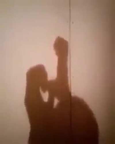 Театр теней