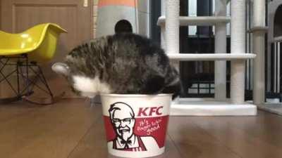 Insufficient space allocation, rearranging