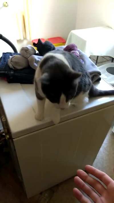 High Five of the Week!