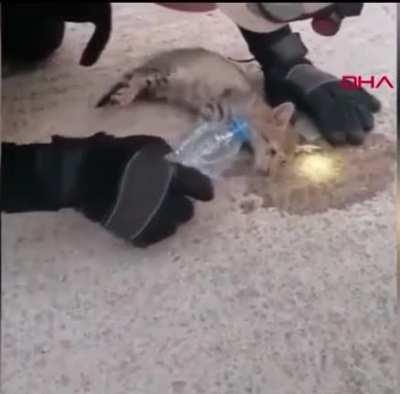 sIcK fuCk pUnchEs aNd WatEr bOarDs InNoCenT kItTeN