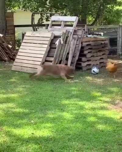 Huh... kinda makes me think of something.