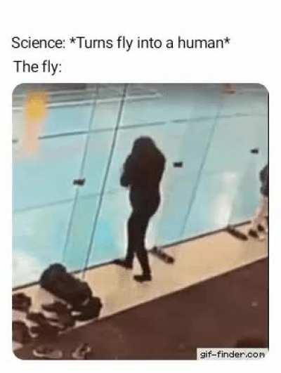 Once a fly, always a fly