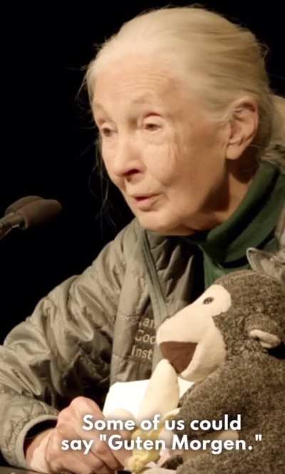 Languages spoken in this sub in a nutshell: