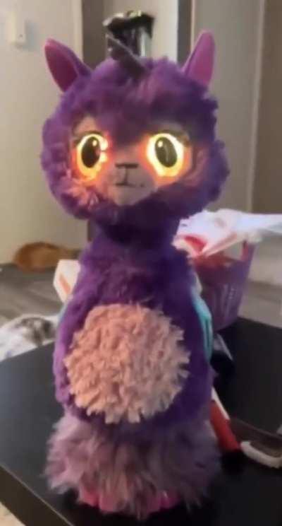 They found this at garage sale