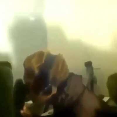 Two dogs in the house