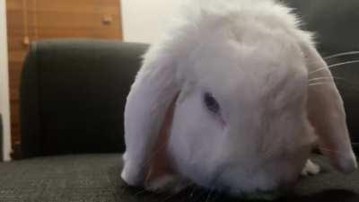 Like a concrete mixer