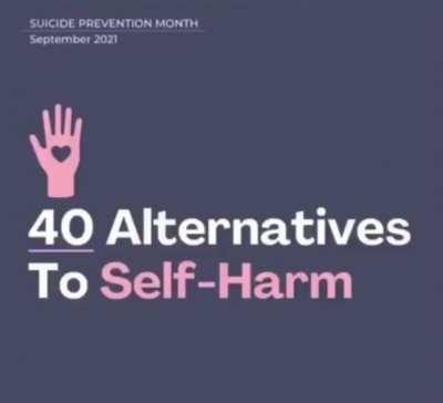 jschlattsubmissions - Video #1978