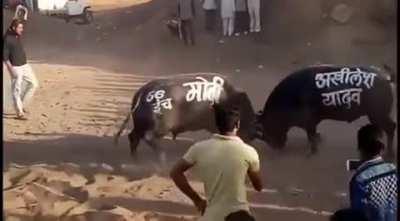 Somewhere in God's own UP