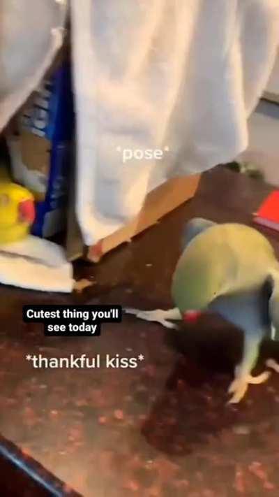 the actual cutest thing you'll see today