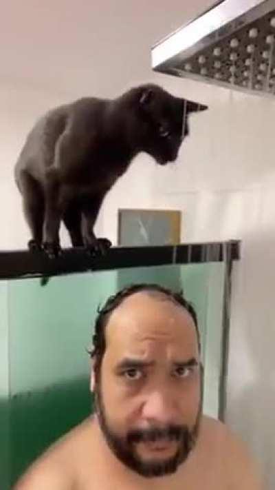 Nothing better than a cat.