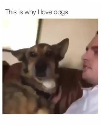 This is why I love dogs
