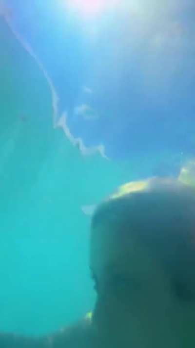 Private Island Bebe - IG December 2025