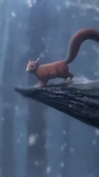 Absolute Cinema 🙌