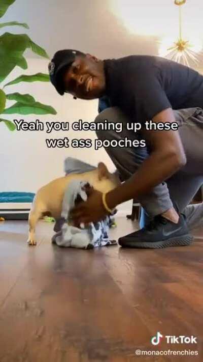 The most wholesome WAP