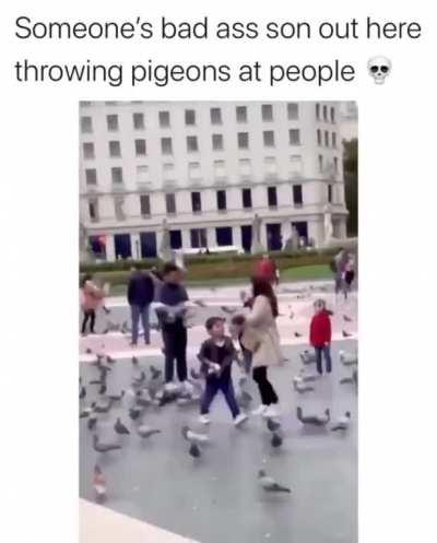 Legend of the pigeon thrower
