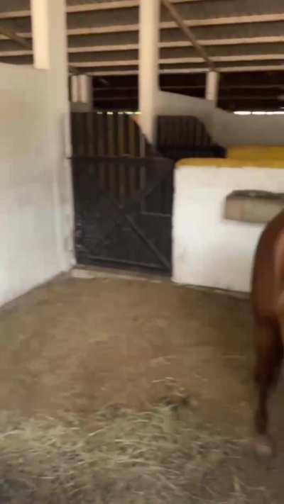 is it crazy to get naked on the farm? 