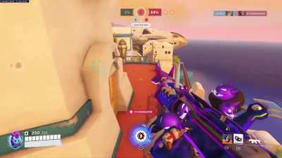 I am a sly and stealthy hunter