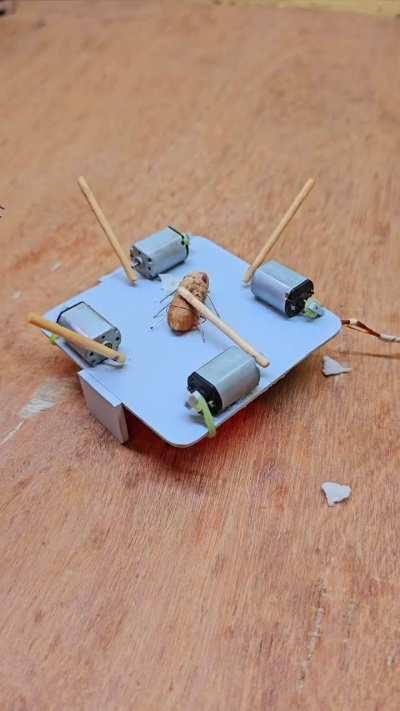 DC motor bug trap