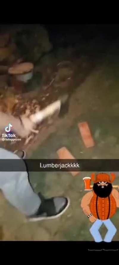 Lumberjack