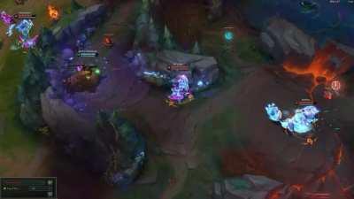 who's the assassins now zed?