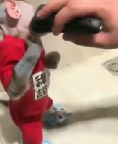 La próxima vez q Orslok se afeite en stream porfavor avisen 😡🖕