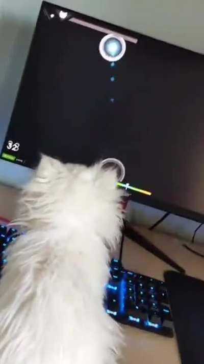 POV: WhiteCat plays osu at your house