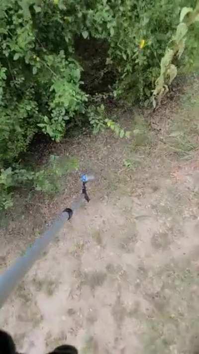 Cleanin' the streets